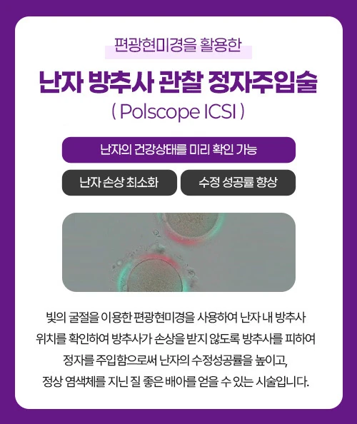 정자주입술